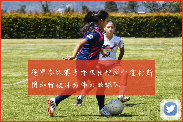 德甲各队赛季评级出炉拜仁霍村斯图加特被评为伟大级球队